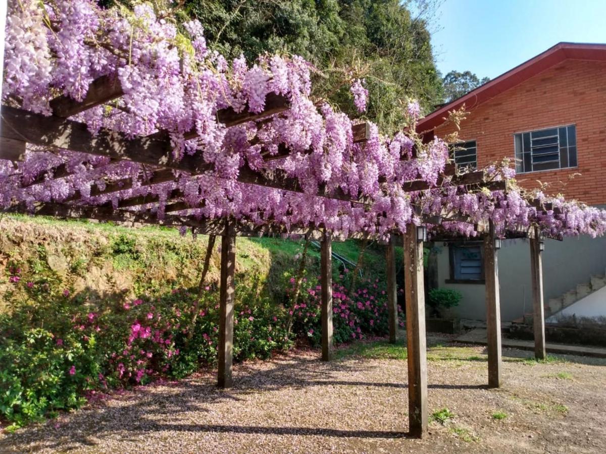 Aromas De - Bairro Centro Inn 2*
